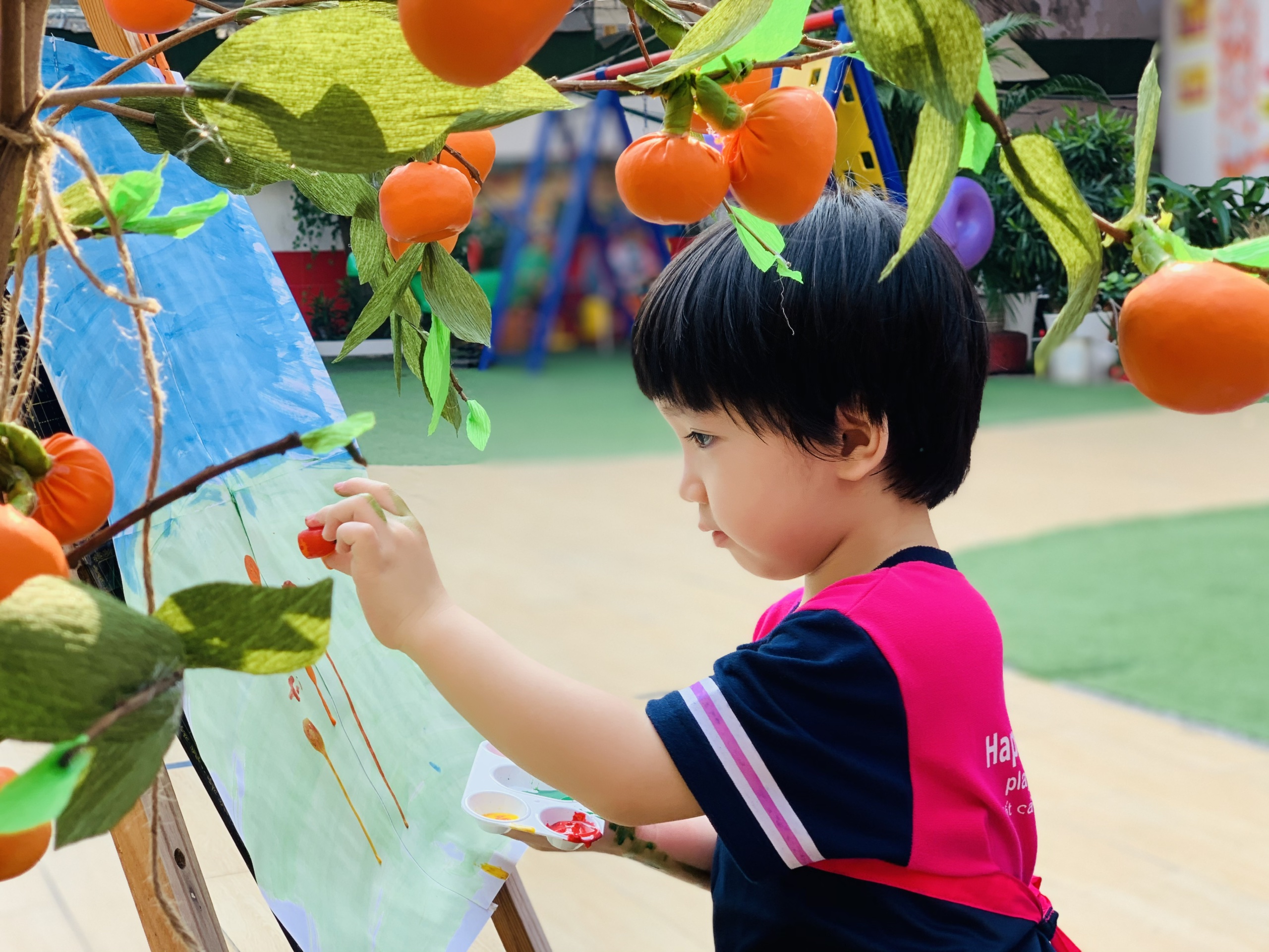 Giới thiệu trường mầm non Ngôi Sao Hạnh Phúc
